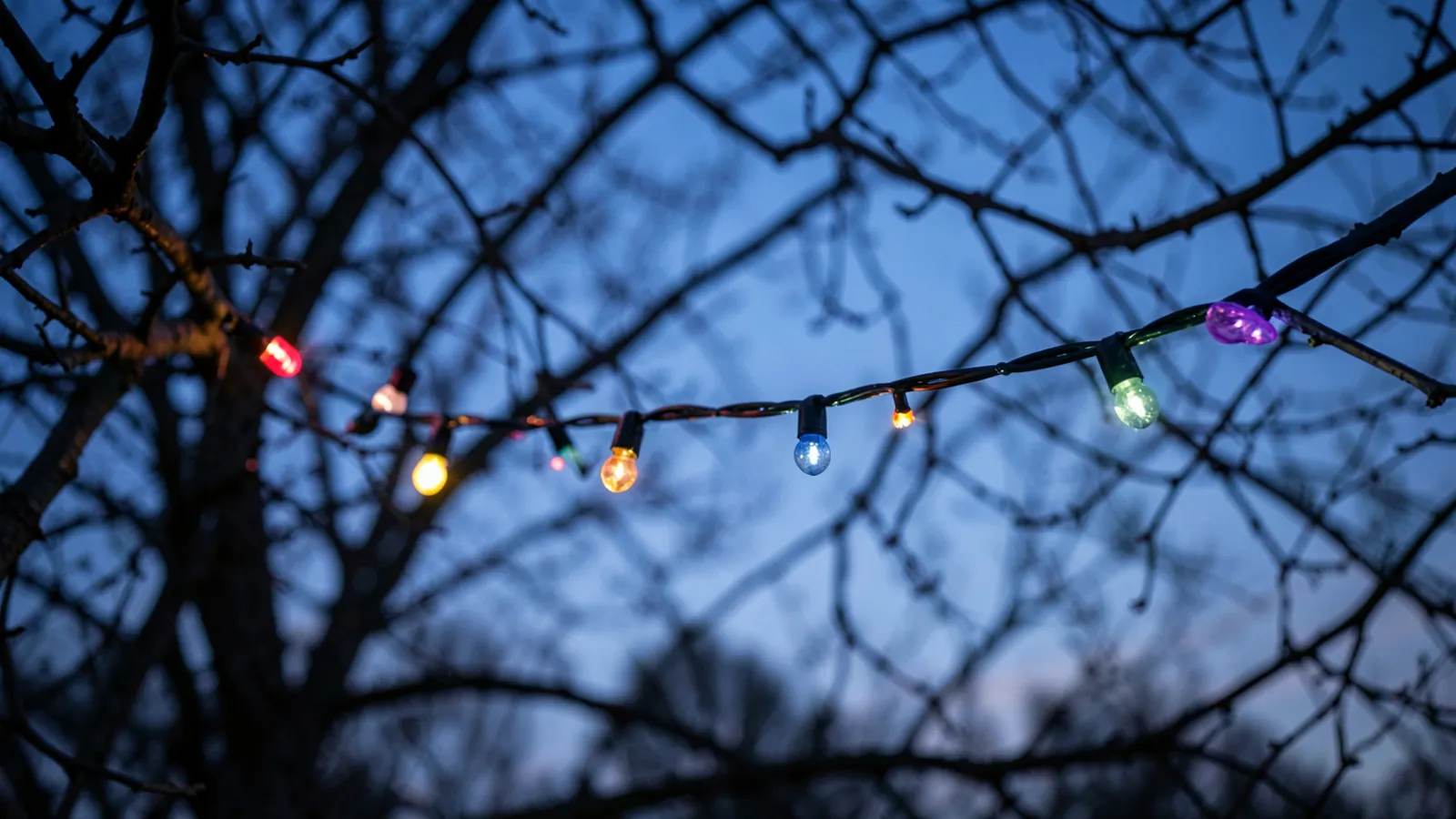 Christmas lights on a bare tree branch at twilight.